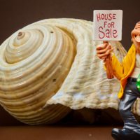 icon for real estate agent