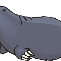 icon of mole