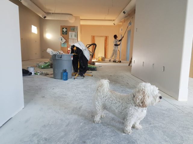 Tips for Repairing Your New Home